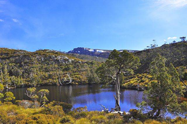 タスマニア原生地域 / Tasmanian Wilderness